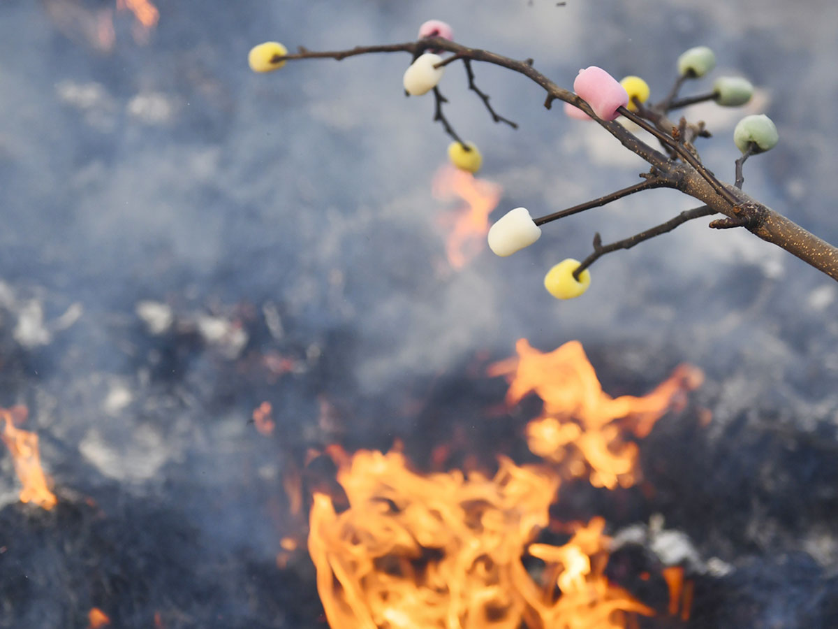 鏡餅はいつから飾る？知っておきたい、お正月飾りのルール