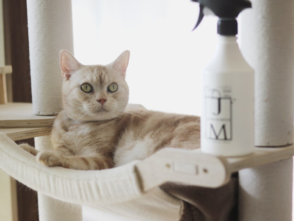 舐めても安心の消臭除菌スプレー！？ペットにやさしい『ジェームズ・ミャーティン』誕生