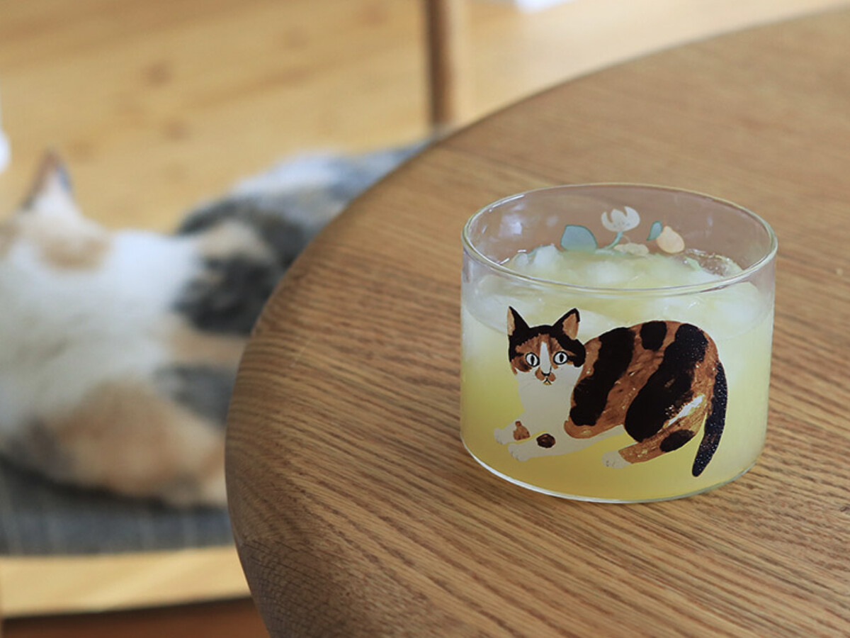 猫好きさんに贈りたい！ティータイムをほっこり彩る猫グッズ2選【インスタグラマーさんのもの選び】