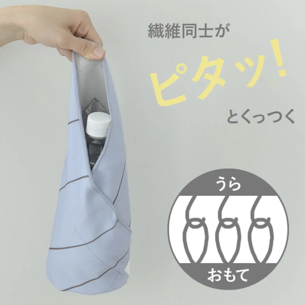 通学弁当もデスク朝食も◎ピタッと包める保冷クロスで『お弁当準備ラクちん化』にスタッフが挑戦！