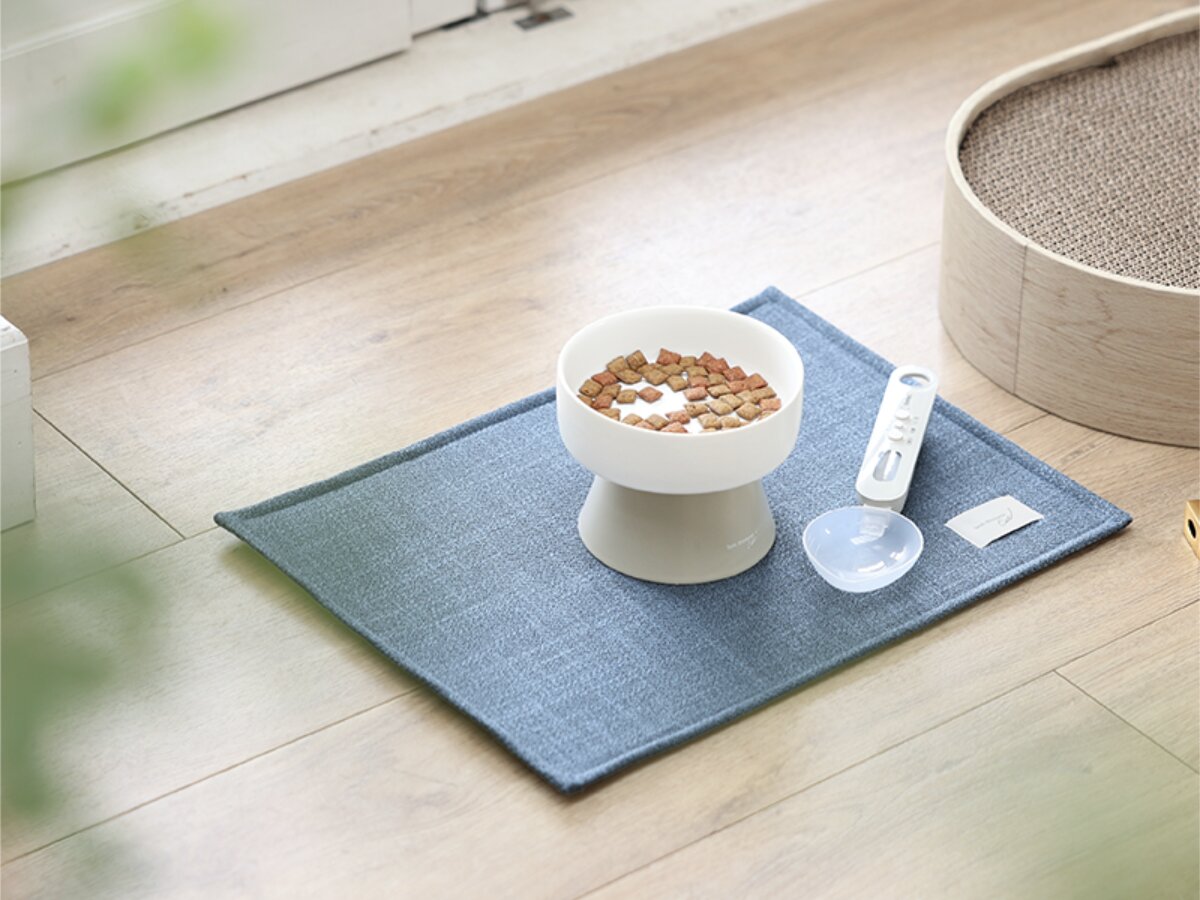 猫と飼い主のシアワセ度向上計画！猫飼いバイヤーの目利きグッズ4選