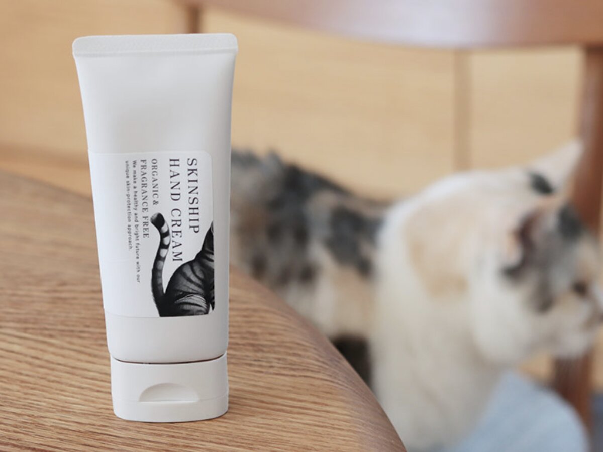 猫と飼い主のシアワセ度向上計画！猫飼いバイヤーの目利きグッズ4選