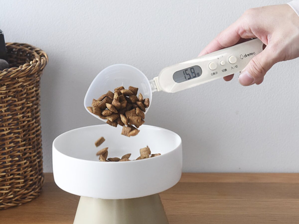 猫と飼い主のシアワセ度向上計画！猫飼いバイヤーの目利きグッズ4選