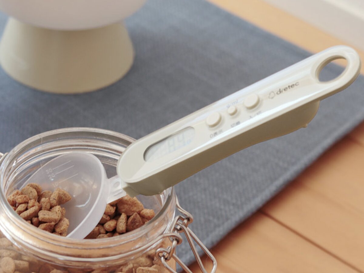 猫と飼い主のシアワセ度向上計画！猫飼いバイヤーの目利きグッズ4選