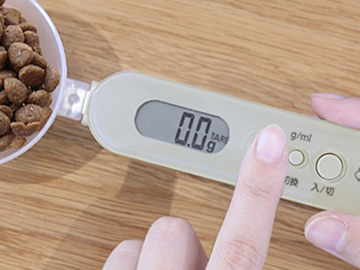 猫と飼い主のシアワセ度向上計画！猫飼いバイヤーの目利きグッズ4選