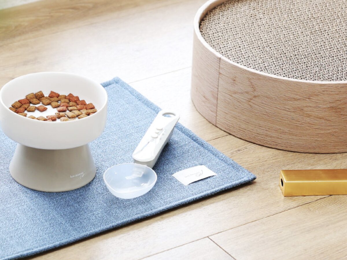 猫と飼い主のシアワセ度向上計画！猫飼いバイヤーの目利きグッズ4選