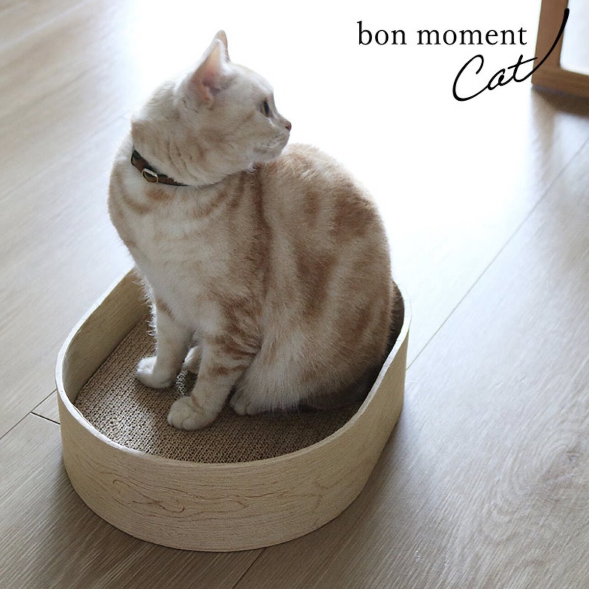猫のためのボンモマン「bon moment cat」ついに始動！猫飼いスタッフが本気で考えたニャンコ溺愛グッズを、インスタグラマーさんもいざ体験！