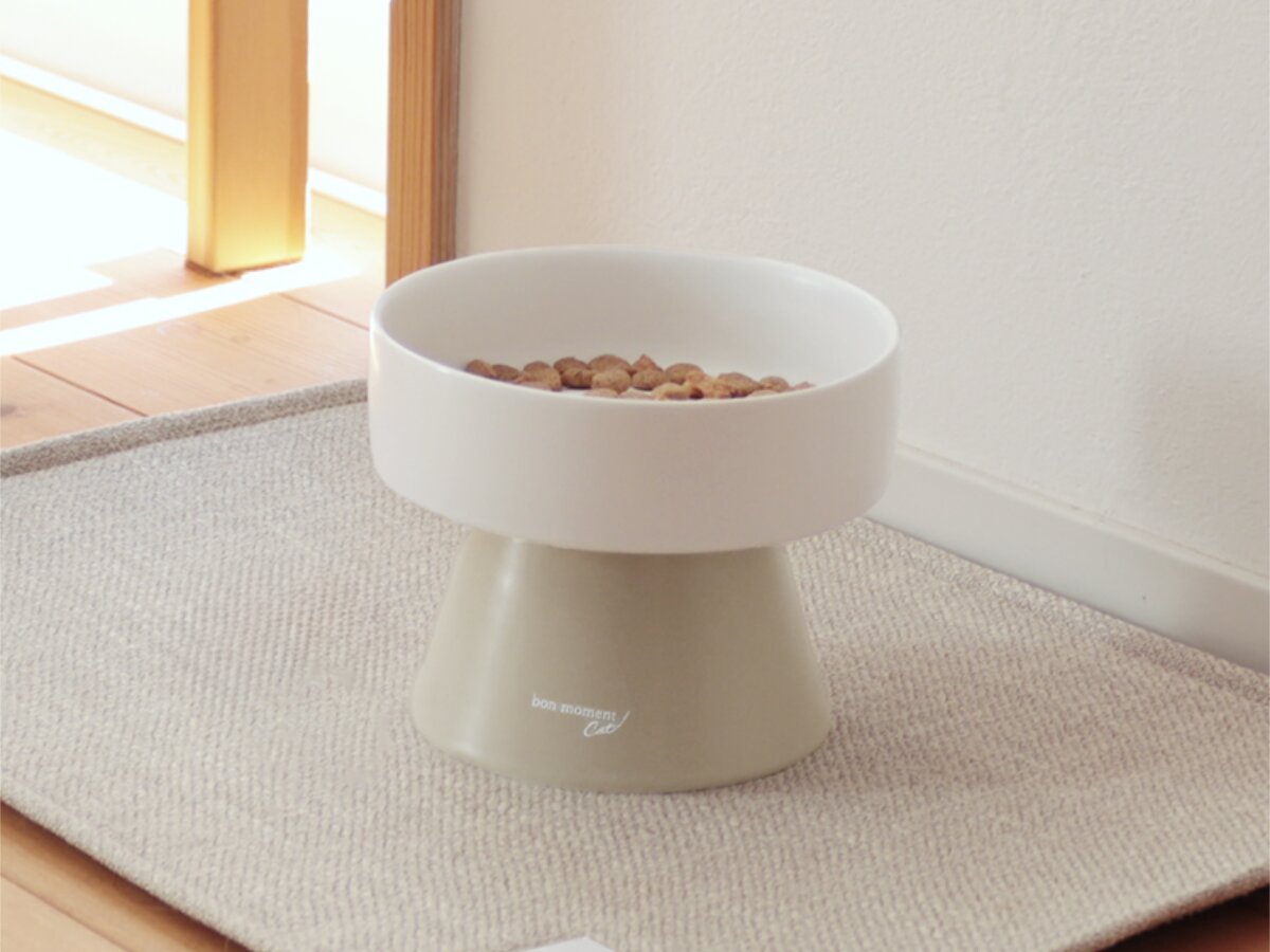 猫のためのボンモマン「bon moment cat」ついに始動！猫飼いスタッフが本気で考えたニャンコ溺愛グッズを、インスタグラマーさんもいざ体験！