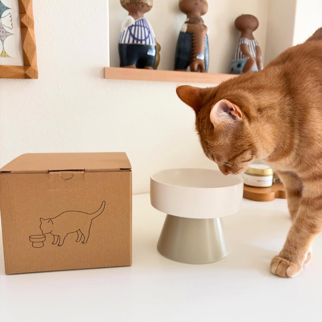猫のためのボンモマン「bon moment cat」ついに始動！猫飼いスタッフが本気で考えたニャンコ溺愛グッズを、インスタグラマーさんもいざ体験！