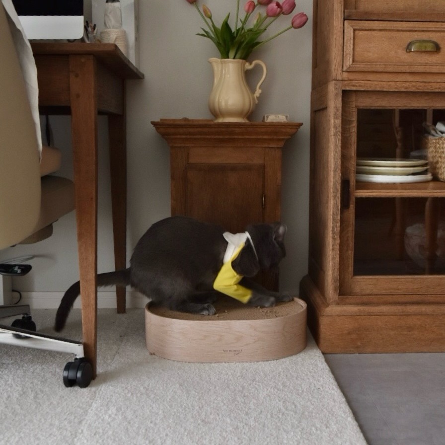 猫のためのボンモマン「bon moment cat」ついに始動！猫飼いスタッフが本気で考えたニャンコ溺愛グッズを、インスタグラマーさんもいざ体験！