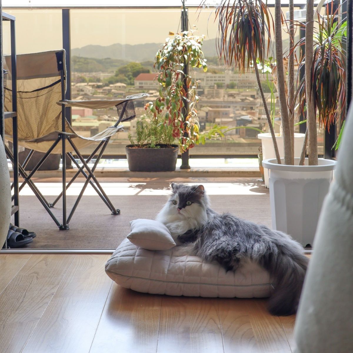 猫のためのボンモマン「bon moment cat」ついに始動！猫飼いスタッフが本気で考えたニャンコ溺愛グッズを、インスタグラマーさんもいざ体験！