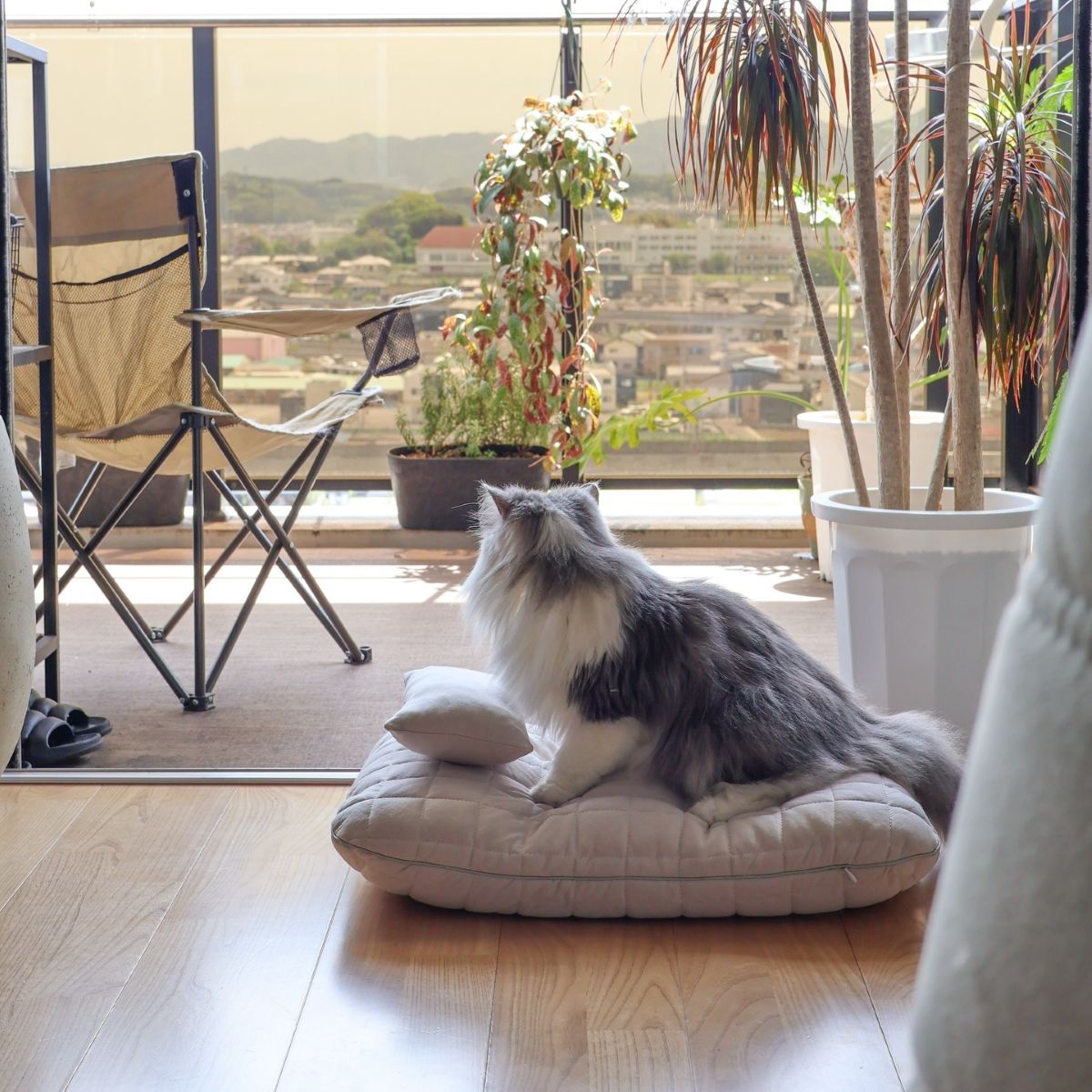 猫のためのボンモマン「bon moment cat」ついに始動！猫飼いスタッフが本気で考えたニャンコ溺愛グッズを、インスタグラマーさんもいざ体験！