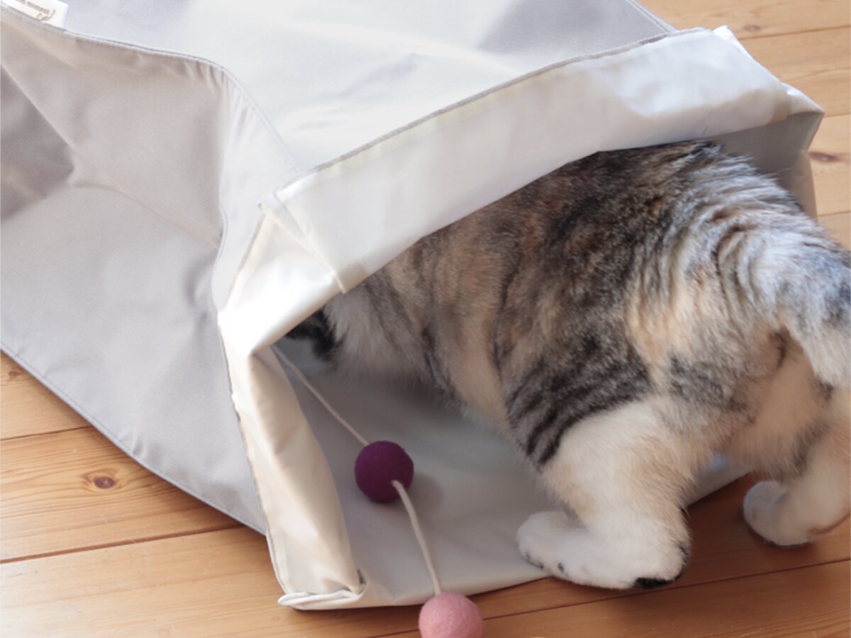 【第2弾】猫と飼い主の「なかよし度」向上計画！猫好きバイヤーのイチオシグッズ４選