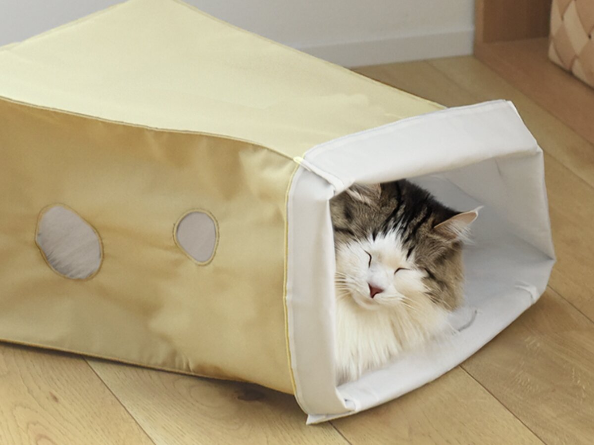 【猫グッズ人気ランキング】みんなが選んだ猫アイテムはどれ？bon moment catベスト５を発表！