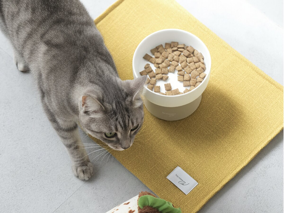 【猫グッズ人気ランキング】みんなが選んだ猫アイテムはどれ？bon moment catベスト５を発表！