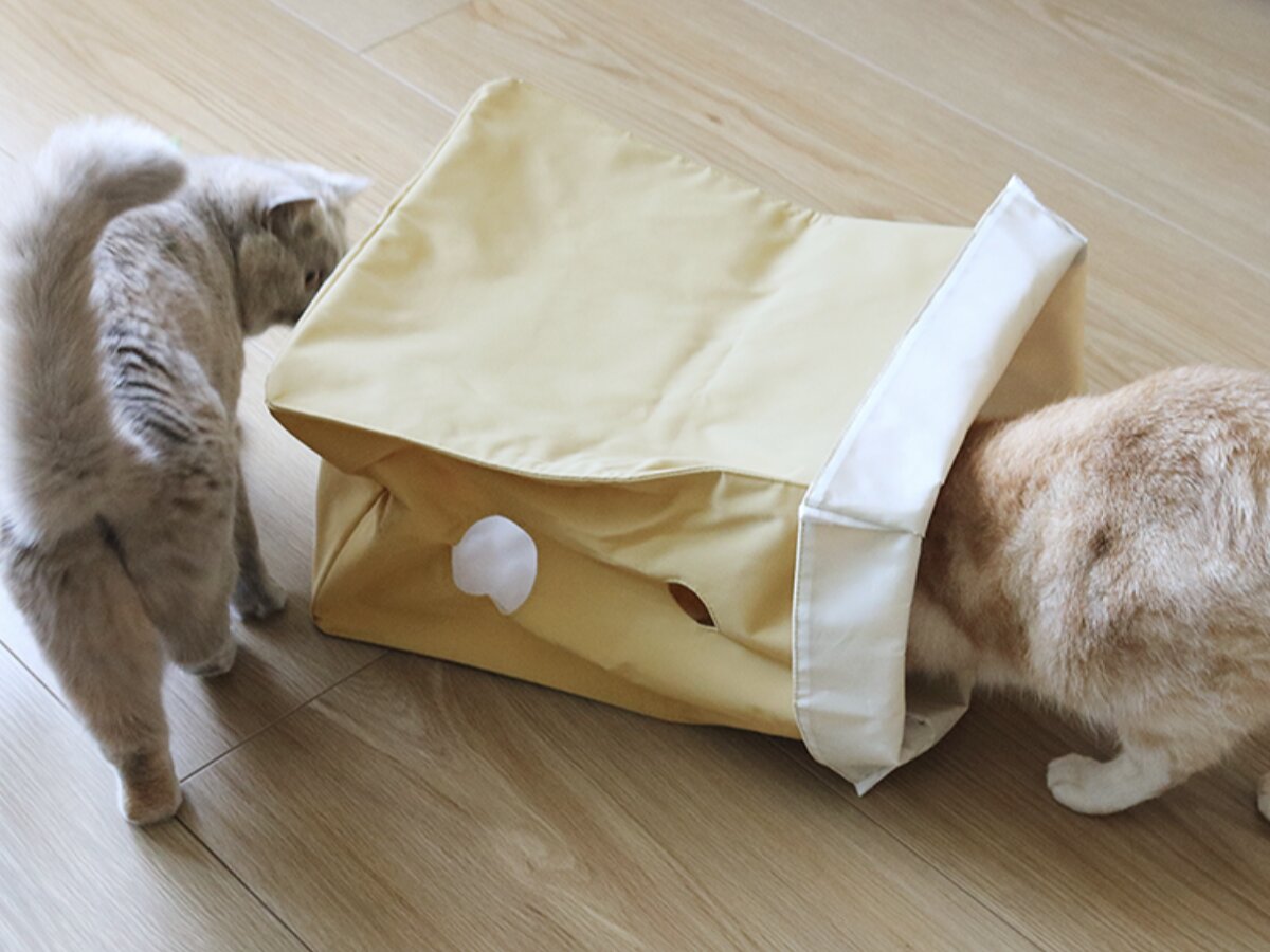 【猫グッズ人気ランキング】みんなが選んだ猫アイテムはどれ？bon moment catベスト５を発表！