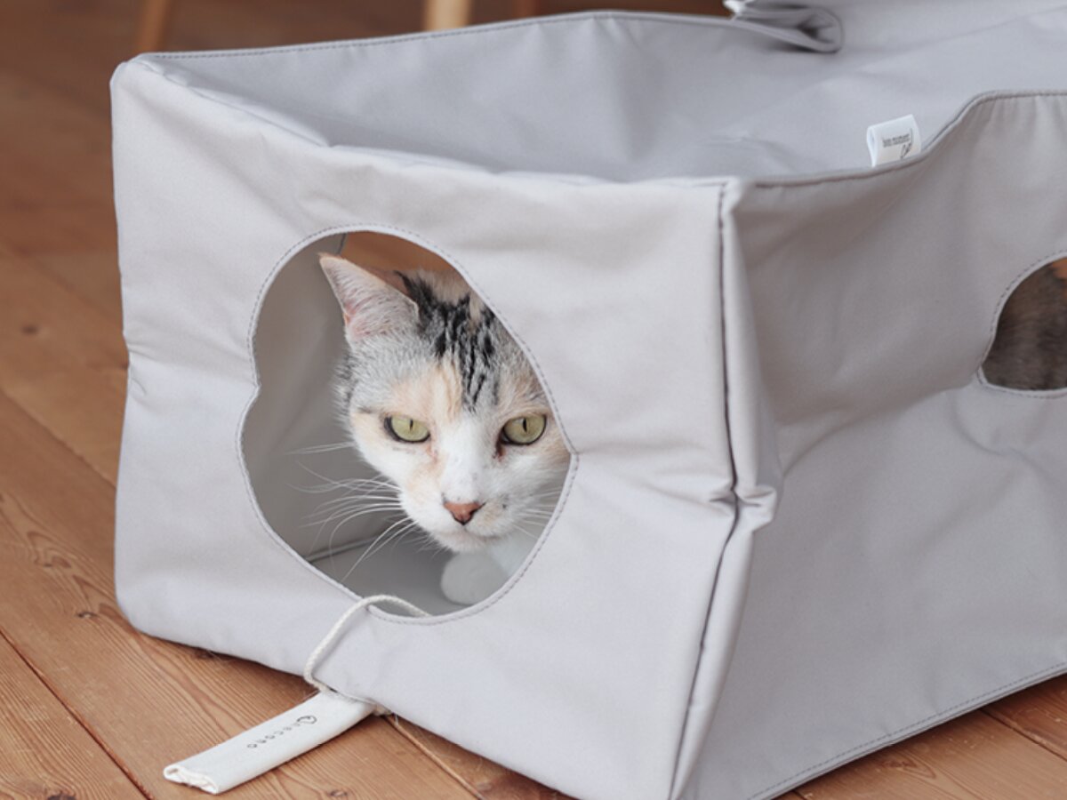 【猫グッズ人気ランキング】みんなが選んだ猫アイテムはどれ？bon moment catベスト５を発表！