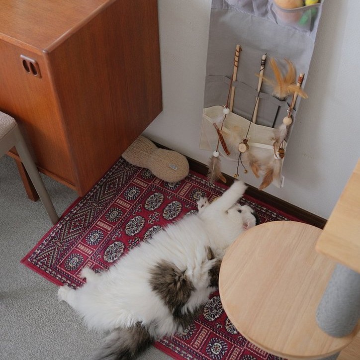 収納しずらい“猫じゃらし”のごちゃつきは専用収納で解決！愛猫家インスタグラマーさんの「おもちゃ」＆「ケアグッズ」収納術