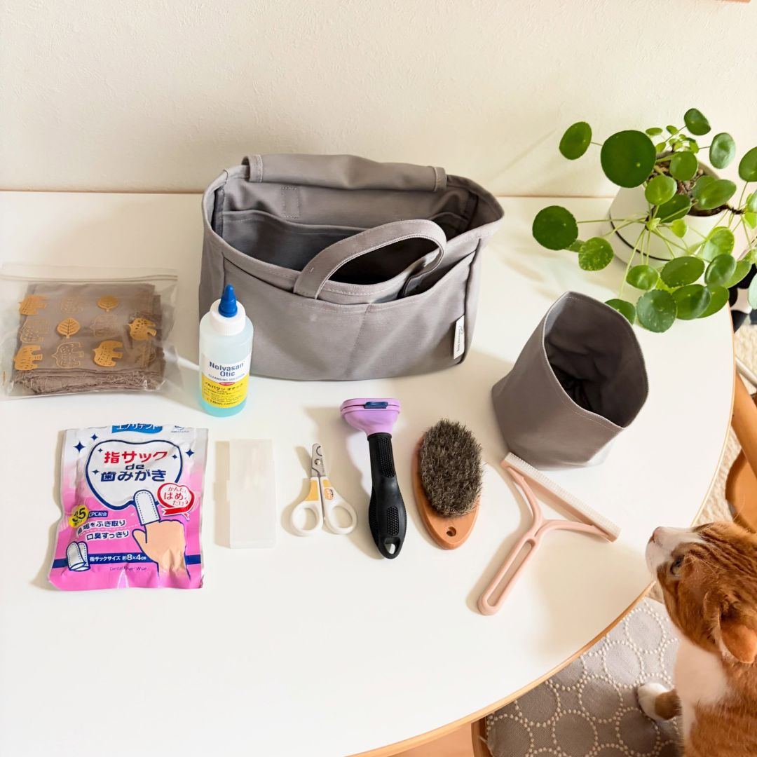 収納しずらい“猫じゃらし”のごちゃつきは専用収納で解決！愛猫家インスタグラマーさんの「おもちゃ」＆「ケアグッズ」収納術