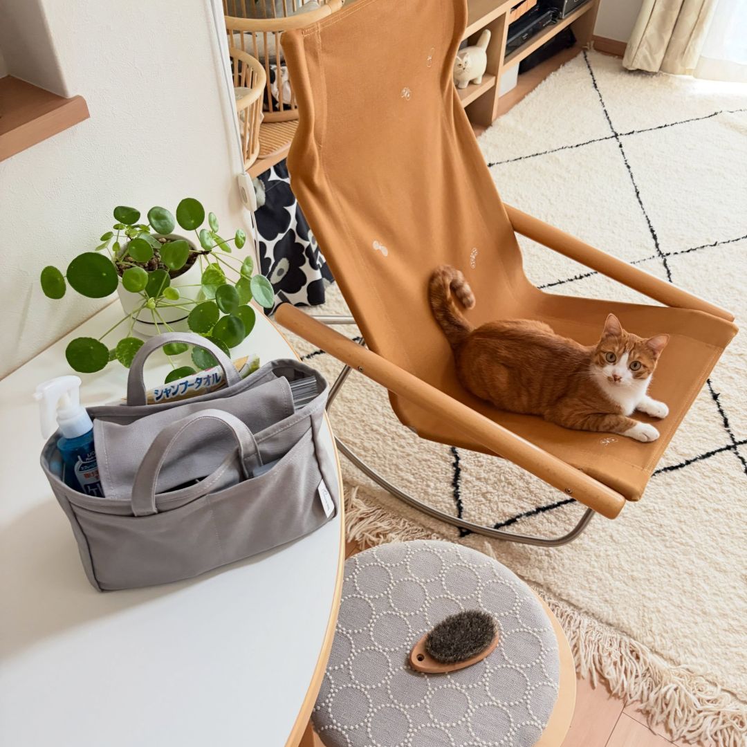 収納しずらい“猫じゃらし”のごちゃつきは専用収納で解決！愛猫家インスタグラマーさんの「おもちゃ」＆「ケアグッズ」収納術
