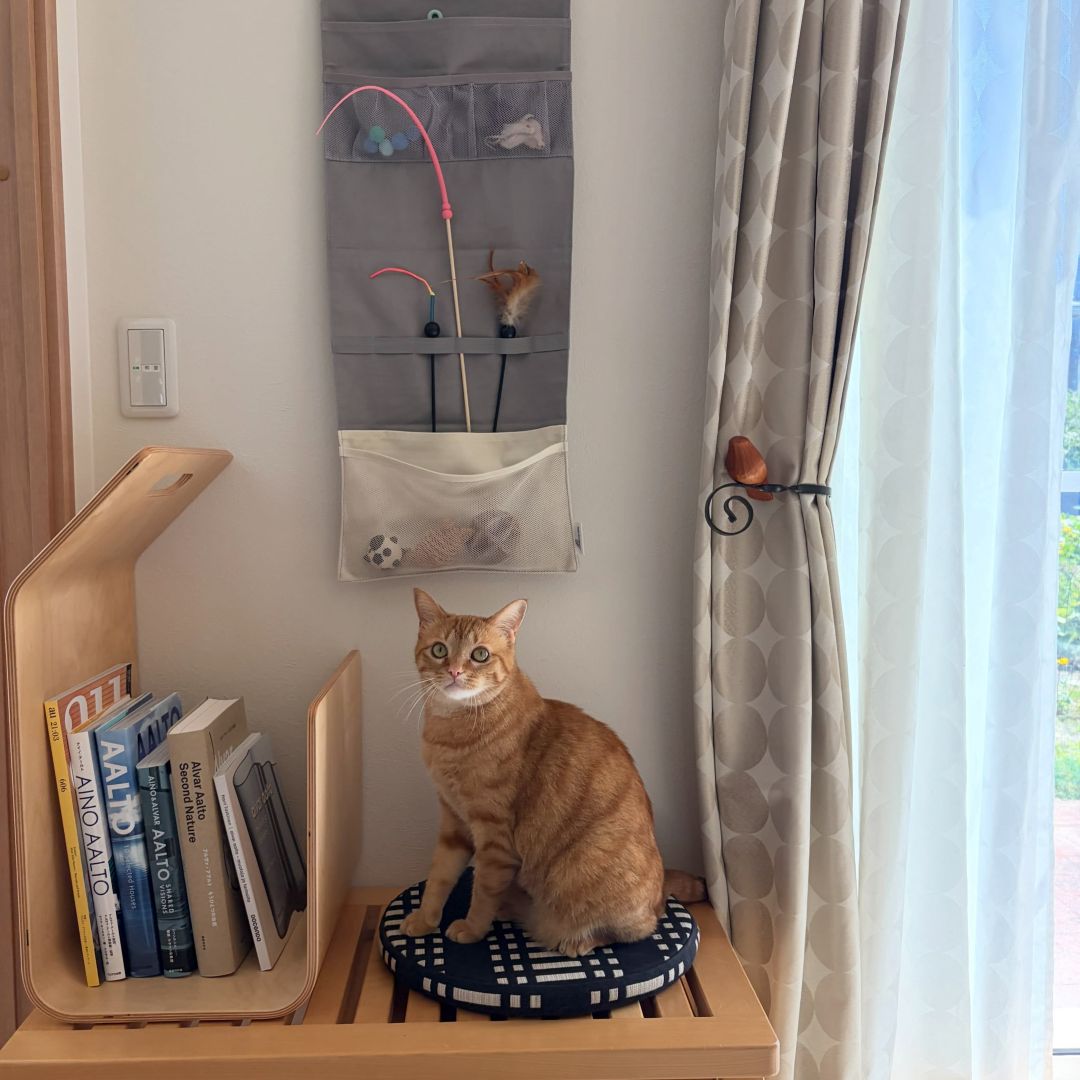 収納しずらい“猫じゃらし”のごちゃつきは専用収納で解決！愛猫家インスタグラマーさんの「おもちゃ」＆「ケアグッズ」収納術