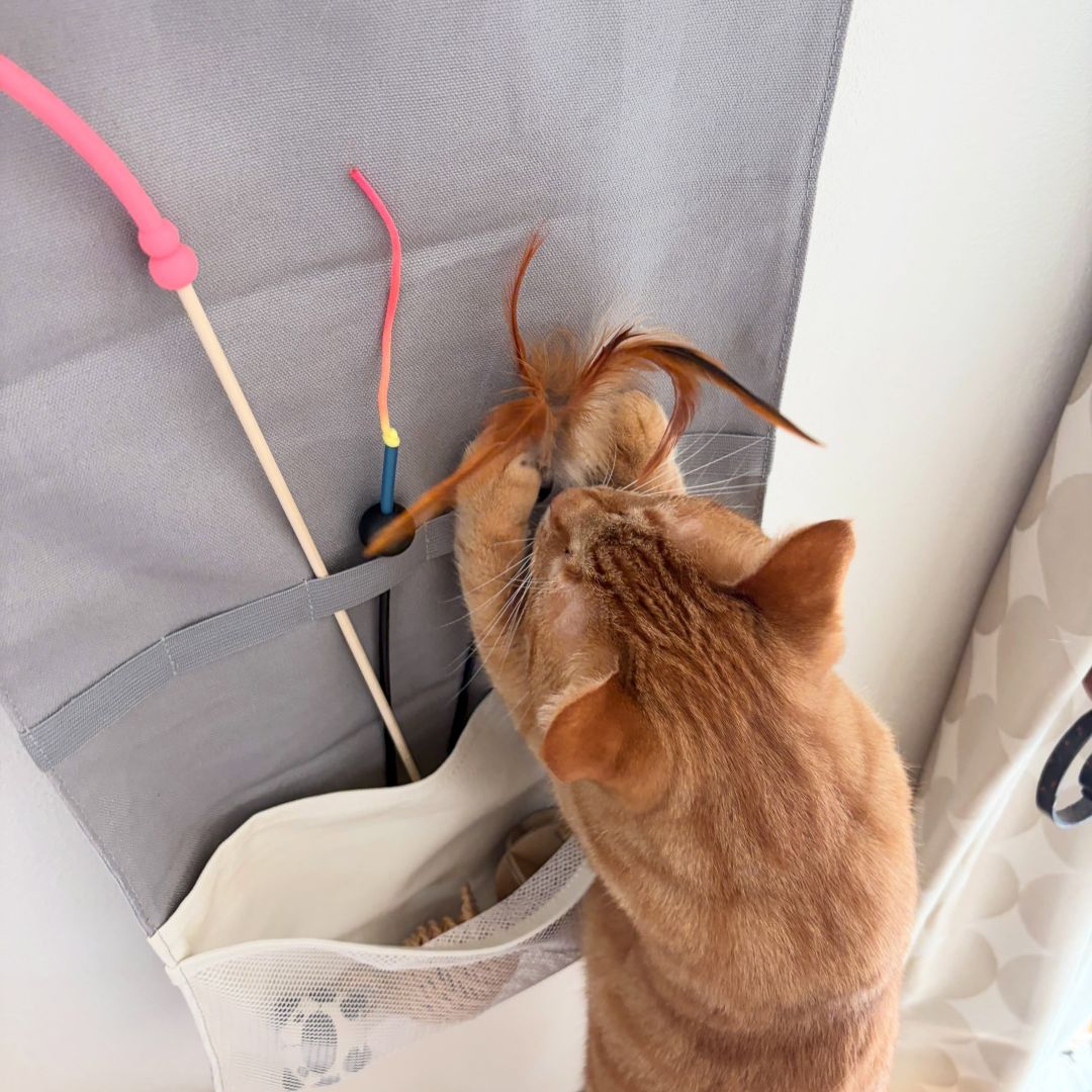 収納しずらい“猫じゃらし”のごちゃつきは専用収納で解決！愛猫家インスタグラマーさんの「おもちゃ」＆「ケアグッズ」収納術