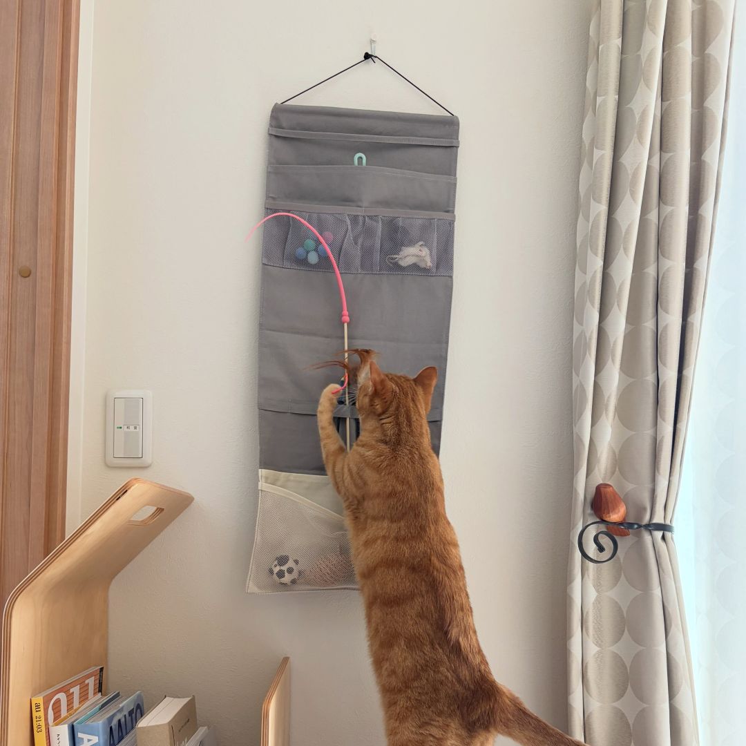 収納しずらい“猫じゃらし”のごちゃつきは専用収納で解決！愛猫家インスタグラマーさんの「おもちゃ」＆「ケアグッズ」収納術