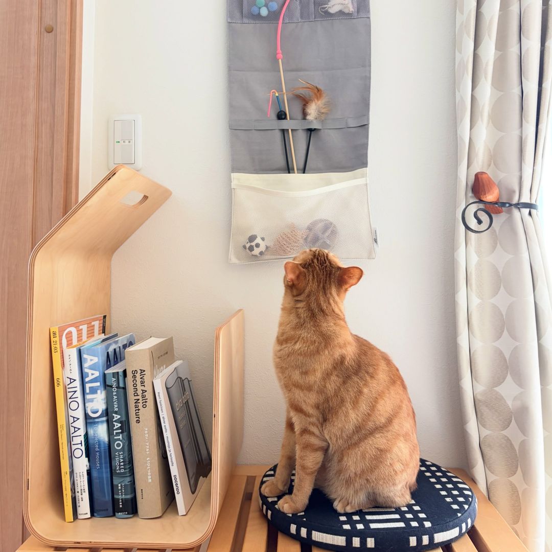 収納しずらい“猫じゃらし”のごちゃつきは専用収納で解決！愛猫家インスタグラマーさんの「おもちゃ」＆「ケアグッズ」収納術