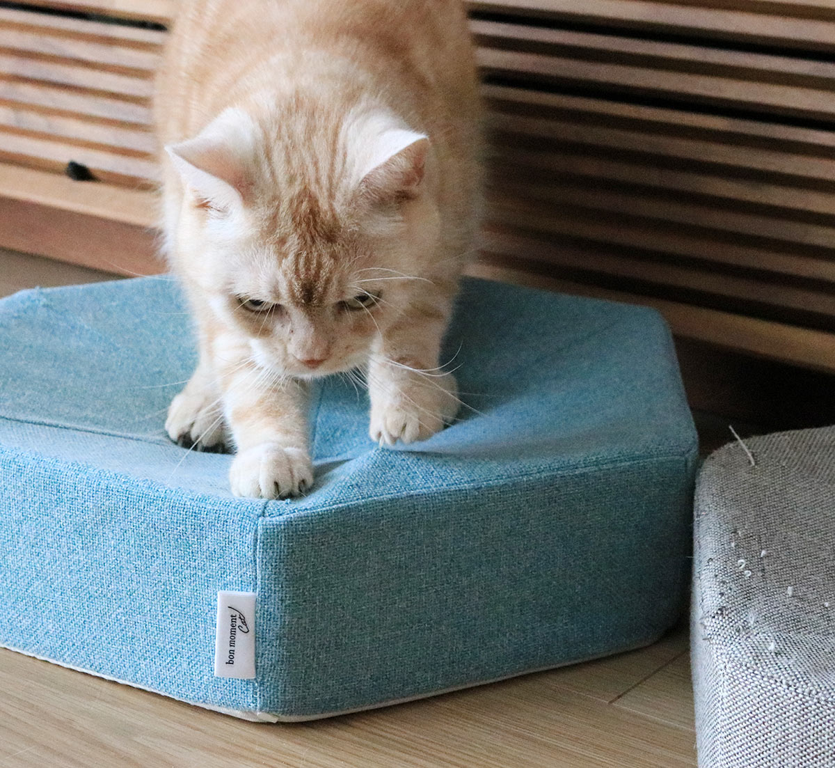 心ゆくまで爪とぎ欲求を！愛猫のガリガリ具合を愛でるのも楽しい、爪とぎクッション（登場イベント開催中！）