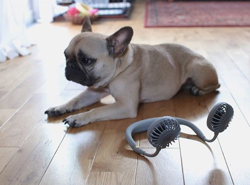 【インスタグラマーさんもご愛用！】今話題の「ハンズフリーポータブル扇風機」活用術